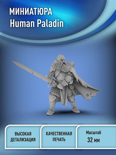 Человек паладин (Human Paladin) 32 мм миниатюра для днд (НРИ) 3D печать ...