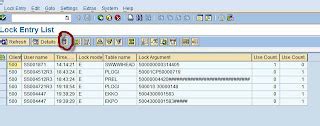 Sap Basis Tutorials What Is An Sap Lock