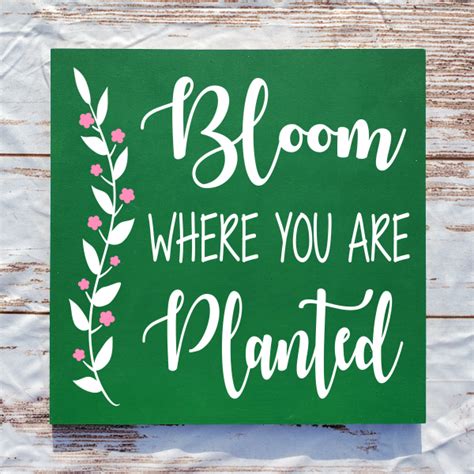 Bloom Where You Are Planted Wood Signs By Me