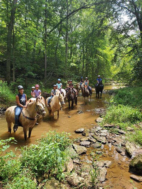 2023 Day Camps Muddy Creek Meadows Riding Stable