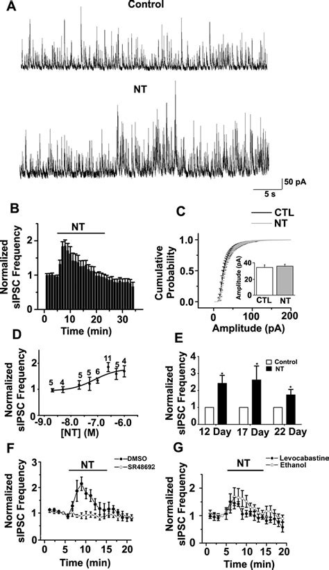 Neurotensin Nt Increases Spontaneous Inhibitory Postsynaptic Current