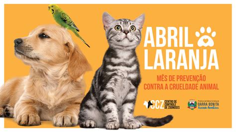 ABRIL LARANJA PROMOVE A PREVENÇÃO CONTRA A CRUELDADE ANIMAL Campanhas