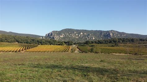 Domaine La Tour Penedesses