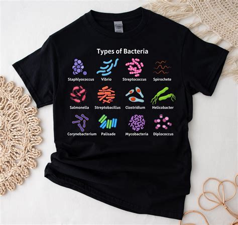 Science Tee Types Of Bacteria Shirt Microbiologist Shirt Biology T