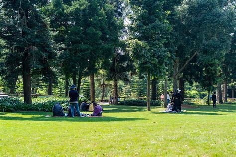 Crowd Of People Relaxing On The Grass In The Park Picture And Hd Photos