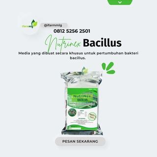 Jual Nutrinex Bacillus Kg Media Khusus Untuk Pertumbuhan Bakteri