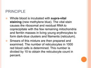 Reticulocyte Count PPT