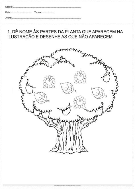 Atividade De Ciência Seres Vivos E Seres Não Vivos Ler E Aprender