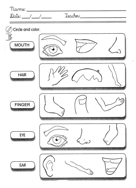 Atividades Ingles Para Crianças - Atividades de Inglês para Crianças - Desenhos Para Colorir