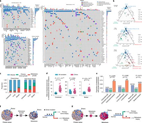 Landscape Of Driver Mutations In Paired Primary Tumors And