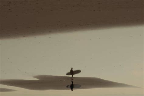 CLEMENCE CARDOT PHOTOGRAPHE - Clémence Cardot - Photographe