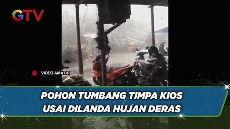 Hujan Deras Disertai Angin Kencang Landa Yogya Pohon Tumbang Timpa