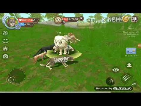 Wildcraft Killing Tigon King Boss Times In Singleplayer Youtube