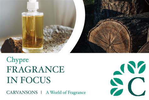 What are Chypre Fragrances? - Fragrance Categories - Chypre