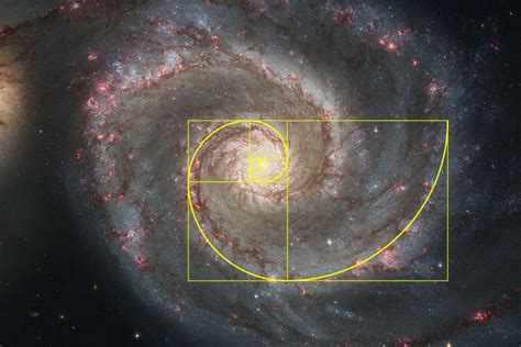 The Center Of Math Blog The Fibonacci Sequence And Golden Ratio In Nature