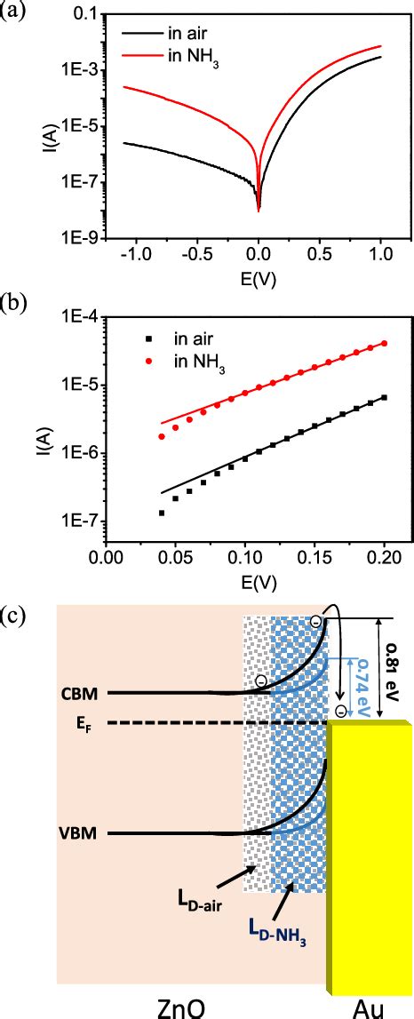 Semilogarithmic Presentation Of The I−v Curves Of A Zno Au Schottky