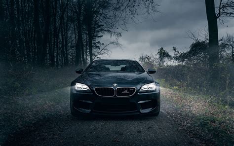 Black BMW Car Near Tall Trees HD Wallpaper Wallpaper Flare