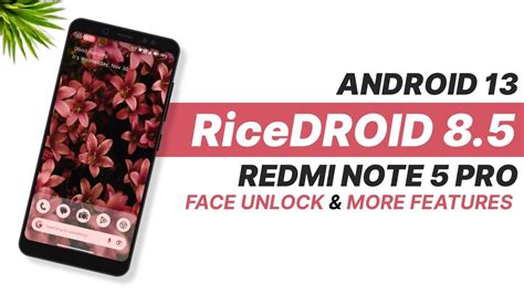 RiceDroid 8 5 Redmi Note 5 Pro Android 13 4 19 Kernel Face