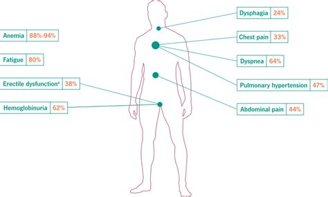 ULTOMIRIS® (ravulizumab-cwvz) | Disease State Information