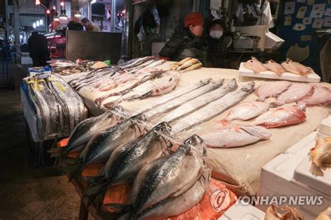 설 성수품 농축수산물 최대 60 할인 시도하는 정부 연합뉴스