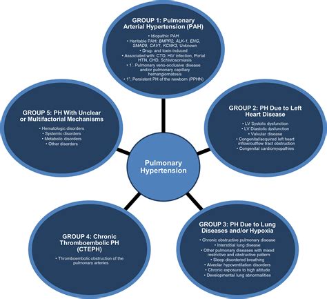 Classification And Pathophysiology Of Pulmonary Hypertension Sysol