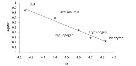 Log M W Versus R F Graph For The Estimation Of Proteins Molecular