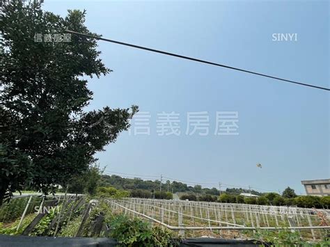 新社雙面臨路方正美農地，台中市新社區土地房屋出售資訊 信義房屋