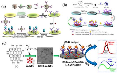 Biosensors Free Full Text Nanobiosensors Design Using 2d Materials Implementation In