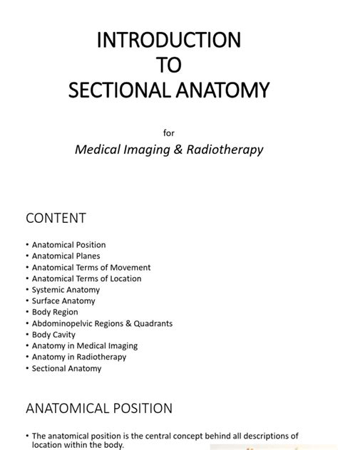 Introduction to Sectional Anatomy | PDF | Anatomical Terms Of Location ...