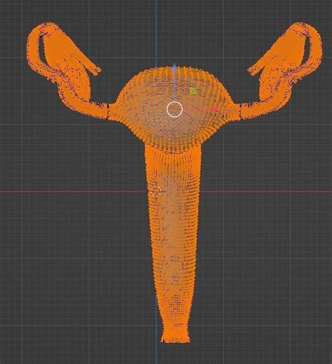 3D Model of Female Reproductive System 3D model | CGTrader