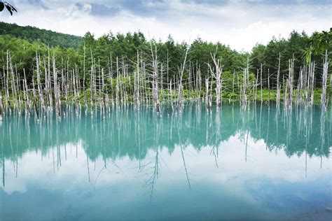 Shirogane Blue Pond | Travel Information