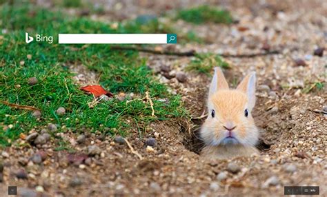 Google Easter Logo? Nope, But Bing & Ask.com Go With Easter Themes ...