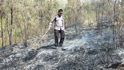 Ratusan Hektare Lahan Di Lereng Gunung Arjuno Terbakar