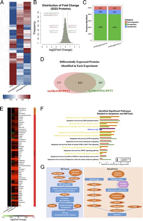 Quantitative Proteomics A Comprehensive Heat Map Showing The