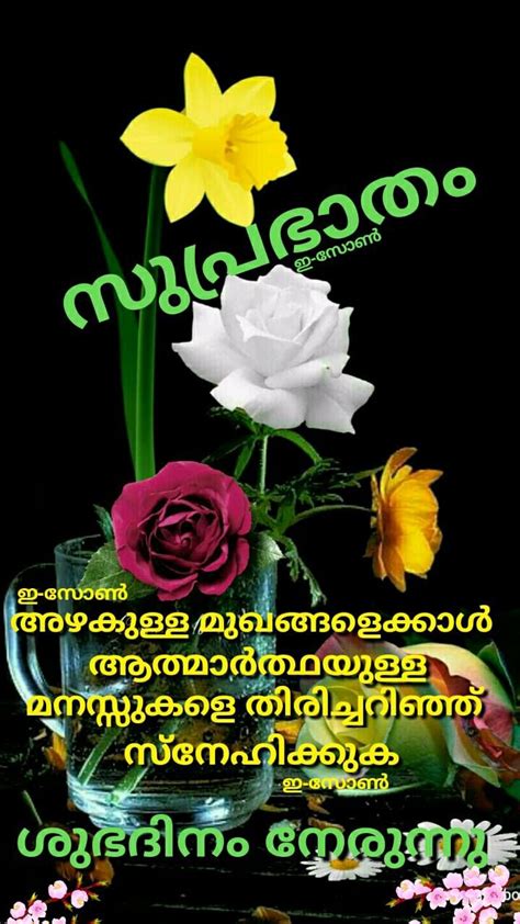 Pin By Eron On Good Morning Malayalam Good Morning Images Flowers