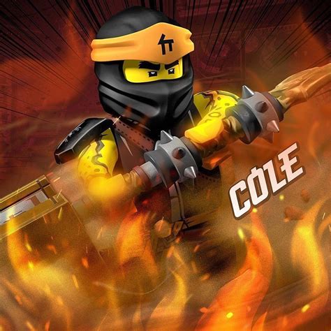 Lego Ninjago Cole