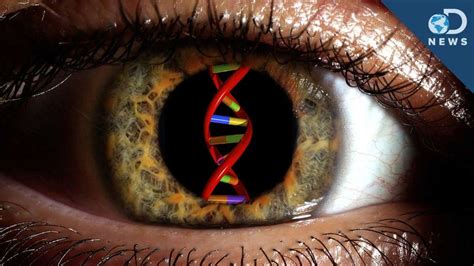 Can Gene Therapy Cure Blindness? - Seeker