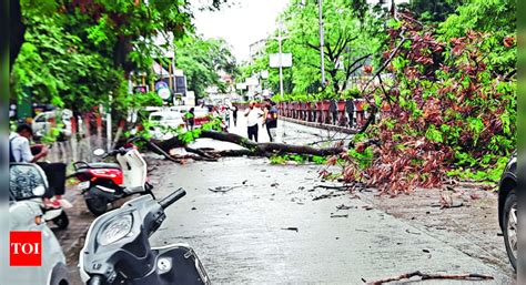 Rain In Nashik - Times of India