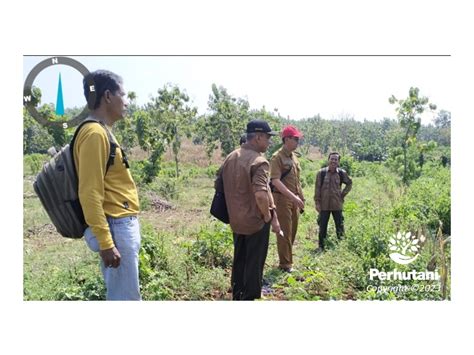 Perhutani Perhutani Tuban Bersama Dinas Purr Kabupaten Tuban Kerjasama