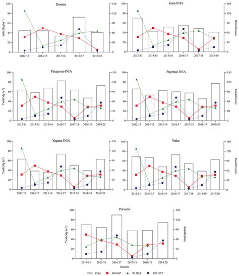 Temporal Relationship Between Potato Tuber Yield Under Rainfed