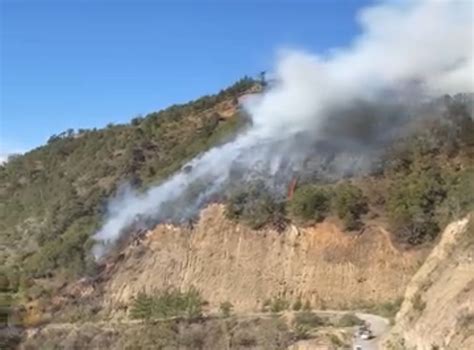 Nicol S Flores Incendio Forestal Consume Cerro De Villa Hermosa