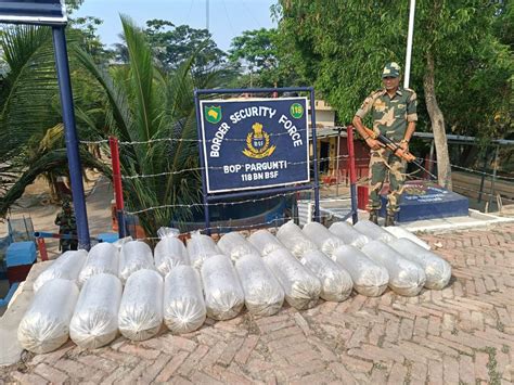 Bsf South Bengal Frontier Foils Smuggling Attempts Seizes Fishpin