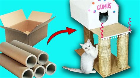 Karton Kutu Ve Rulolarla Kedi Evi Turn Cardboard Box Into Cat House