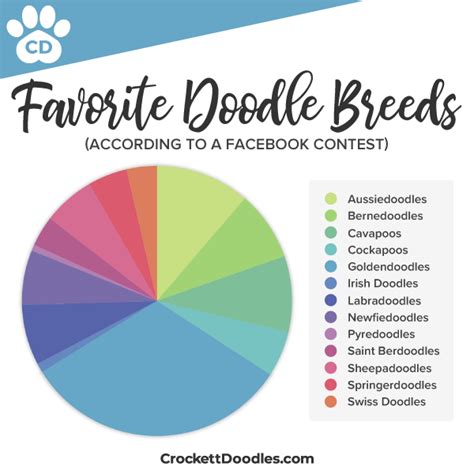 Doodle Breeds Comparison Chart