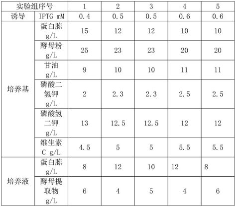 大肠杆菌重组菌及利用大肠杆菌重组菌生产34 二羟基苯乙醇的方法与流程