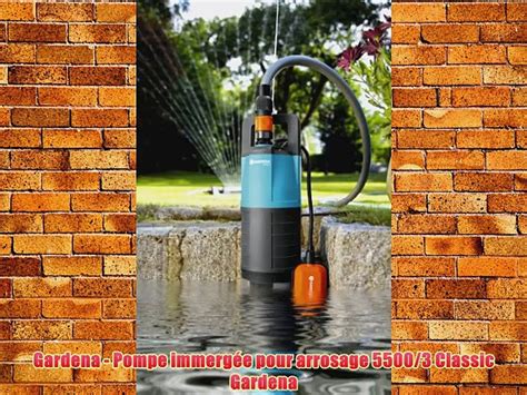 Gardena Pompe Immerg E Pour Arrosage 5500 3 Classic Gardena Video