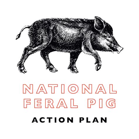 The Plan National Feral Pig Action Plan