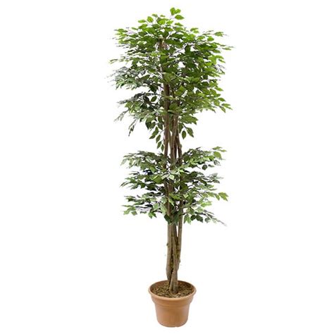 Arbre Artificiel Ficus Benjamina Pieds D Cors V Ronneau