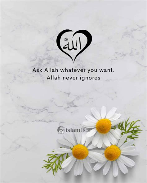 Ask Allah Whatever You Want Allah Never Ignores Islamtics