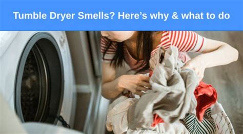 Tumble Dryer Smells How To Keep It Fresh Check Appliance